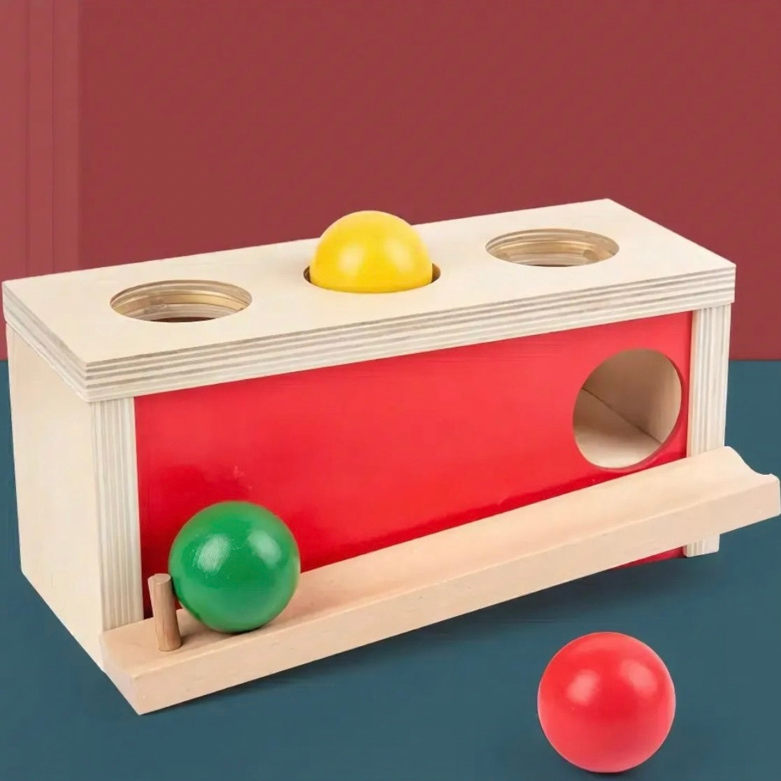 BOÎTE D’INSERTION AVEC BOULES – JOUET MONTESSORI 2 & 3 ANS