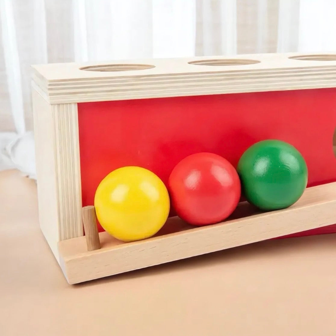 BOÎTE D’INSERTION AVEC BOULES – JOUET MONTESSORI 2 & 3 ANS